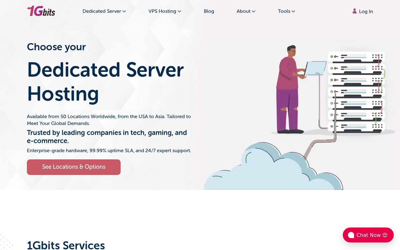 Website screenshot of 1Gbits