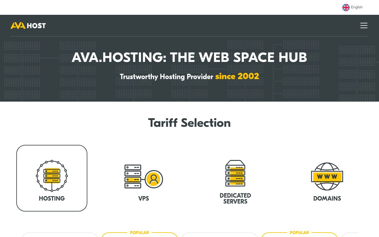 Website screenshot of AvaHost